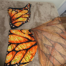 Embellished Butterfly Skirt Set