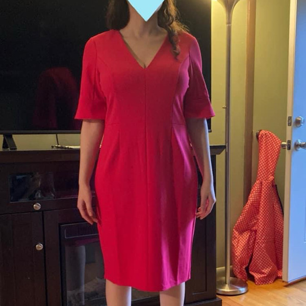 Pink Donna Morgan Interview Dress