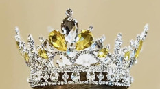 Appointed Local County/City Title