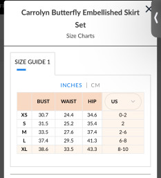 Embellished Butterfly Skirt Set
