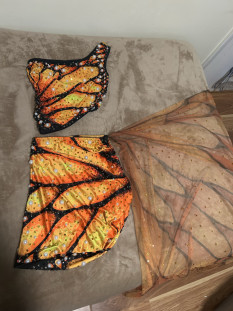 Embellished Butterfly Skirt Set