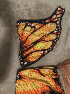 Embellished Butterfly Skirt Set