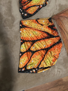Embellished Butterfly Skirt Set