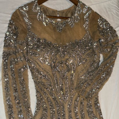  Stunning Portia and Scarlet Gown