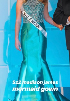 SZ 2 Madison James Teal Mermaid Gown