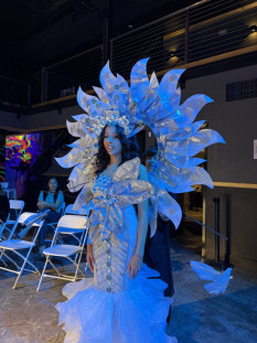 Winning Eco National Costume for Rent  Recycled Mermaid Gown