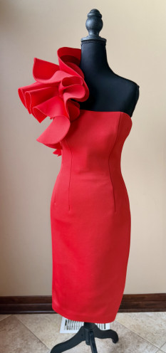 Pageant Closet Clean Out! Jovani Interview & Appearance Outfits (Sizes 2 & 4)