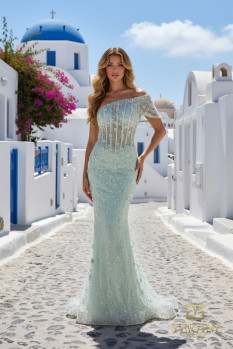Asymmetric Off-Shoulder Beaded Tulle Sheath Gown with Cap Sleeve - 261GL6756