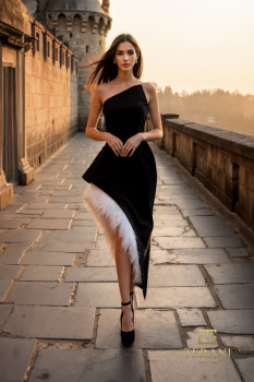  Asymmetric Crepe & Feather High-Low Dress - 261C6723