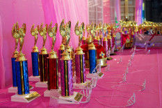 Nevada International Prince and Princess Pageant State Finals 2026 Entry Fees