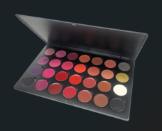 28 Lipstick Palette Dazzling Lip Canvas