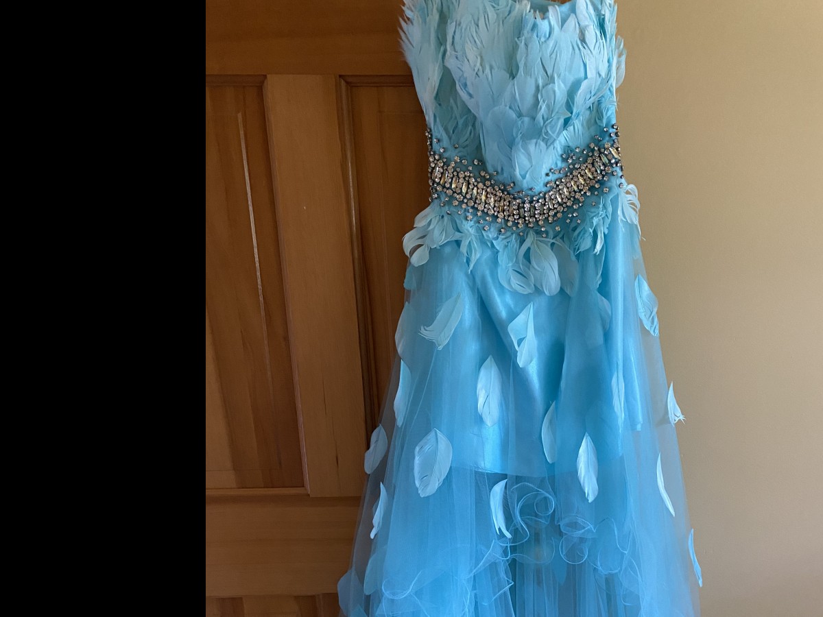 Jovani Turquoise and Feather dress