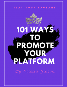 101 Ways to Promote Your Platform eBook