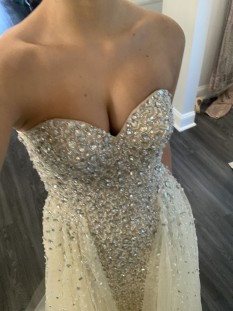 Stunning Crystal/Nude Terani pageant gown