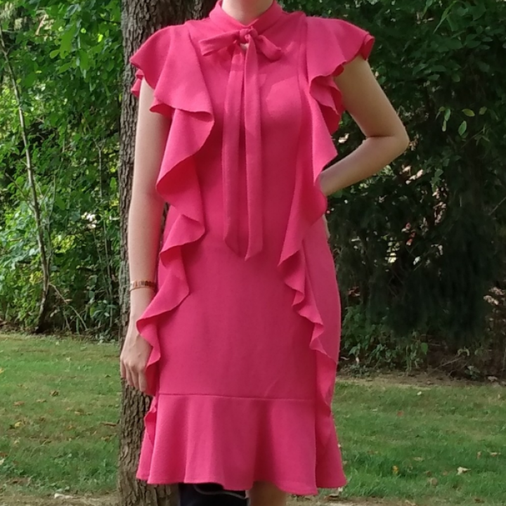 Hot Pink Interview Dress