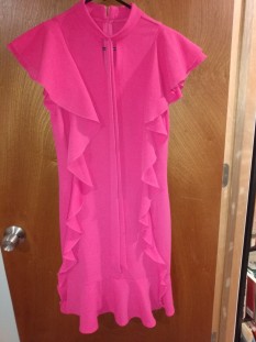 Hot Pink Interview Dress