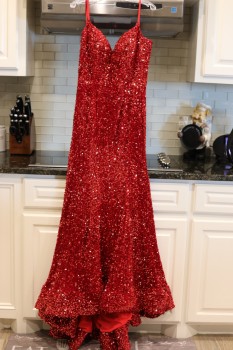 Portia & Scarlett Red velvet and sequin gown