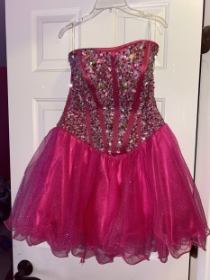 Pink Sparkly Corseted Dress by Hannah S