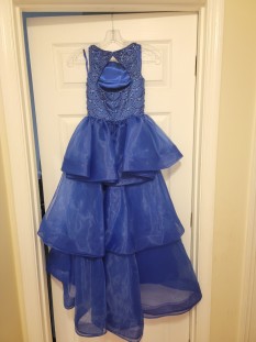 Royal Blue Mermaid Style Pageant Gown