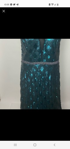 New With Tags, Floor Length Green Sequinced Gown, JOVONI