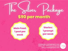  Silver Social Media Management Package