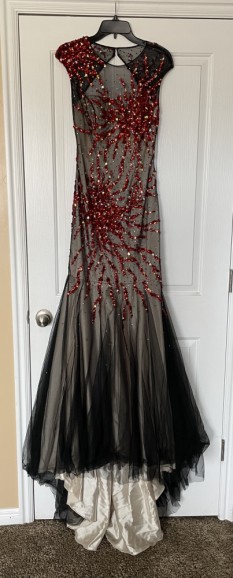 Show Stopping Gown