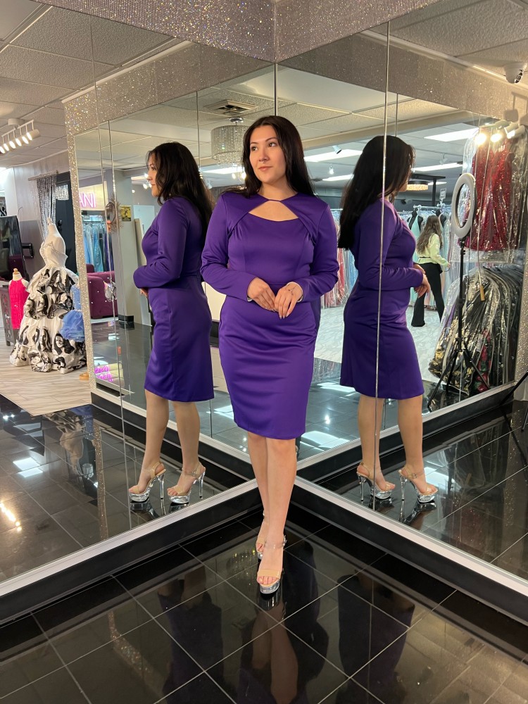 Custom Size 6 Purple Fernando Wong Interview Dress