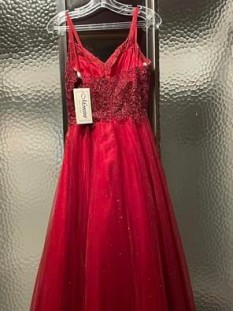 Monsini Red Dress