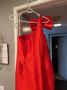 Red Dress (Size 12)