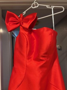 Red Dress (Size 12)