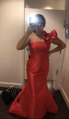  Red Dress (Size 12)