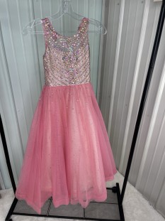 Tiffany Princess Girls Gown