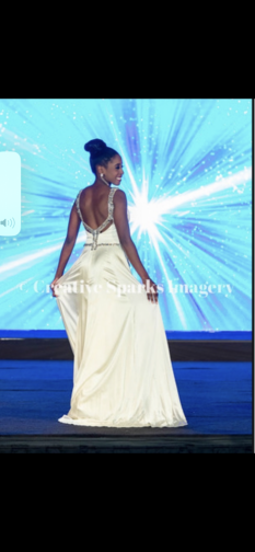 Ashley Lauren Pageant Gown