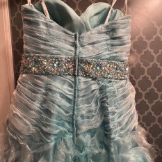 Blue Ballgown Size 8 Tiffany’s Dress