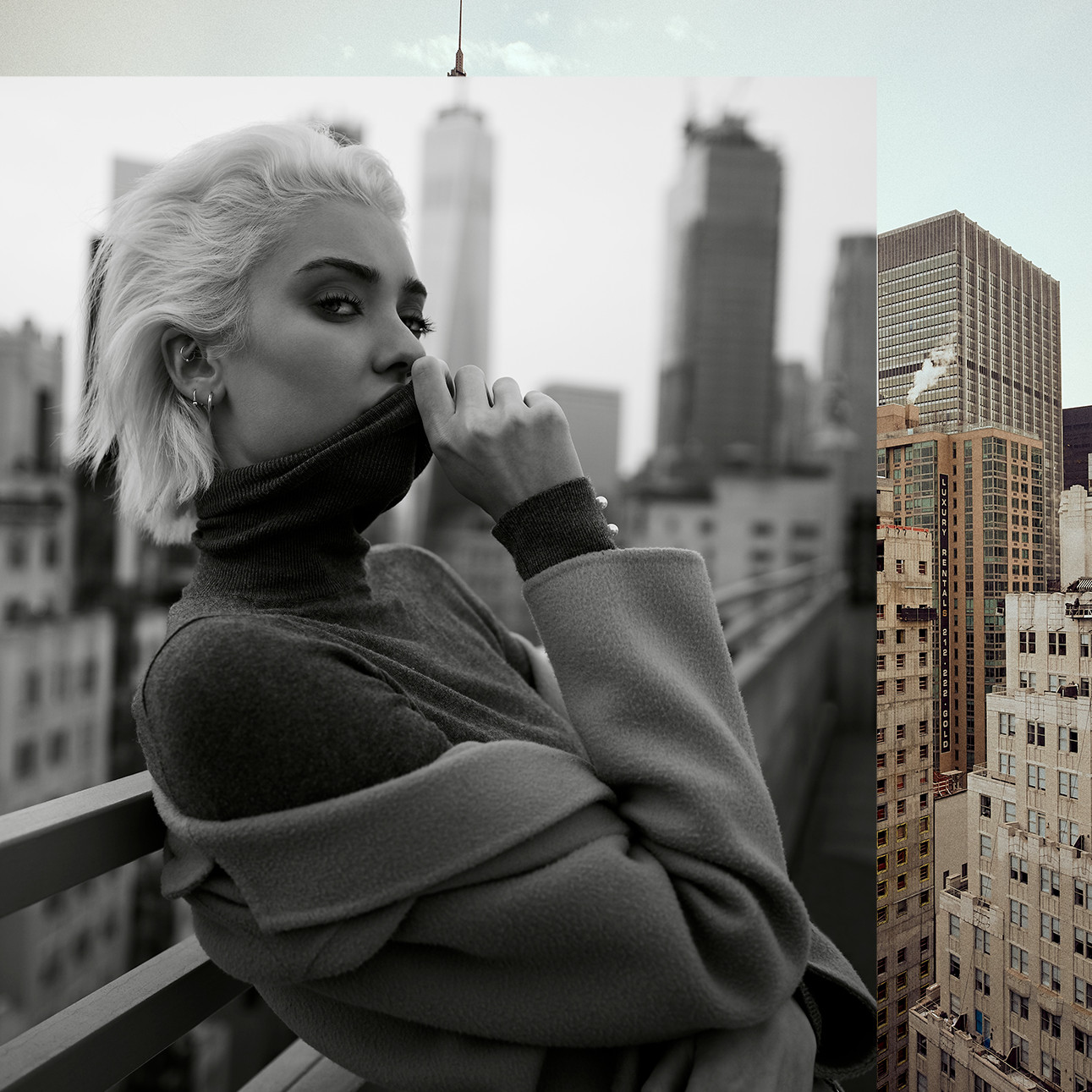 Plug New York