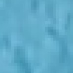Salina Bhattarai