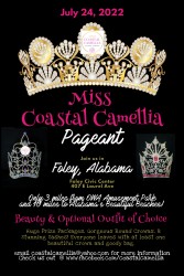 Miss Coastal Camellia