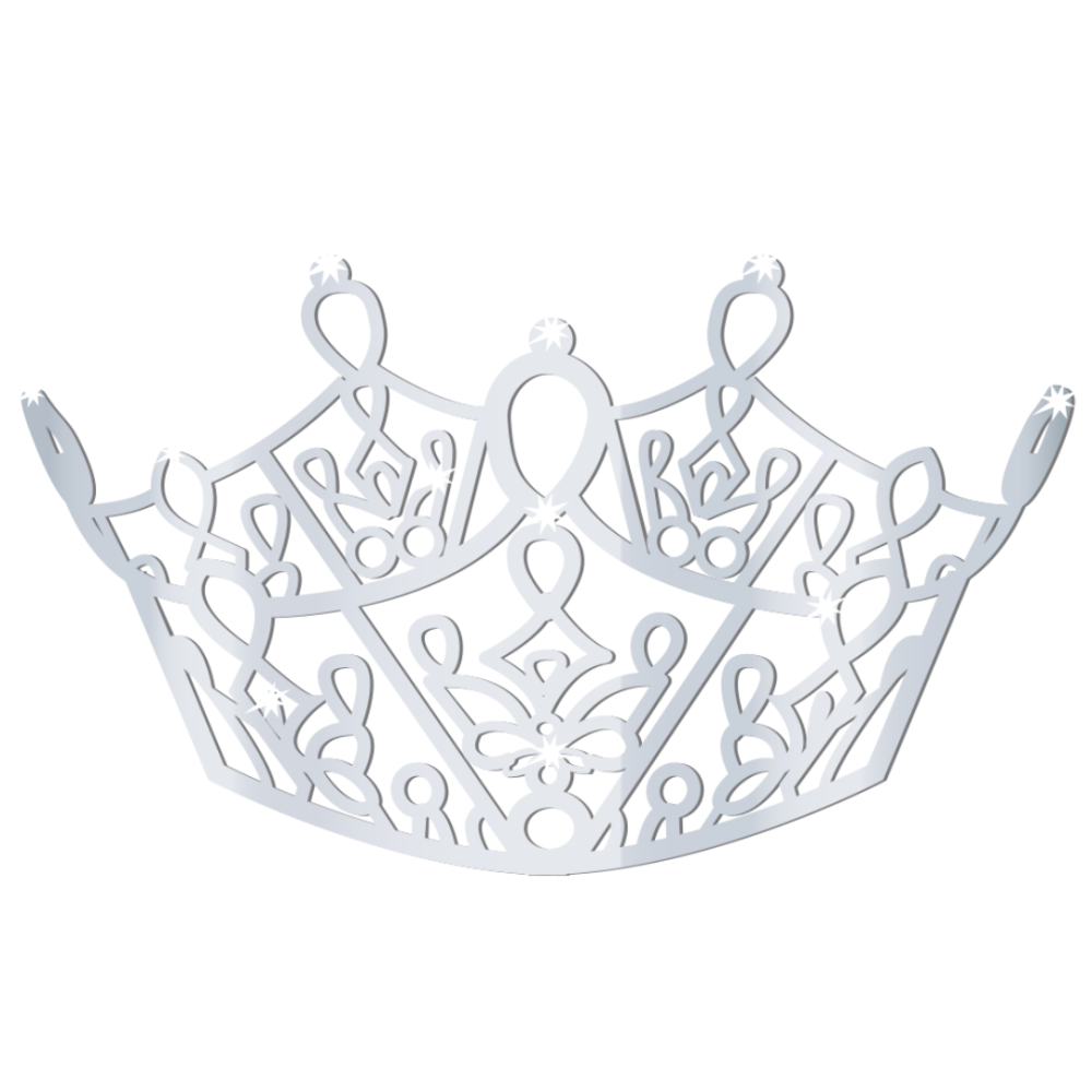 Miss Arizona Volunteer